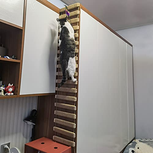 Cat Climbing Kit (40in)