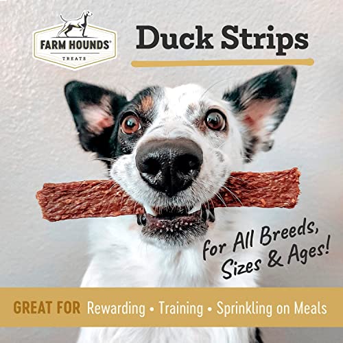 Duck Strips Premium Natural Jerky for Dogs (4.5 Ounce (Pack of 2))
