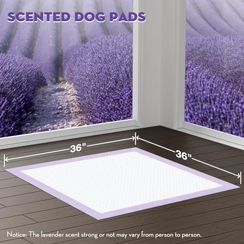Puppy Pads with Adhesive Tabs Leak Proof Lavender Scent 36x36in 100Ct (Jumbo-36x36in(100Ct))