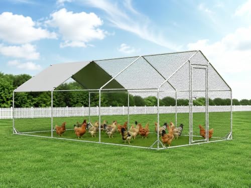 Metal Chicken Coop (236.4"L x 117.6"W x 76.8"H)