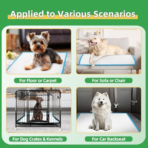 Dog Pads Extra Large 30"x36" (Regular XXL: 30"x36"-30 Ct)