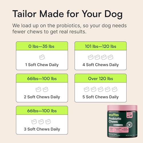 Probiotics for Dogs (60 Chews (Pack of 1))