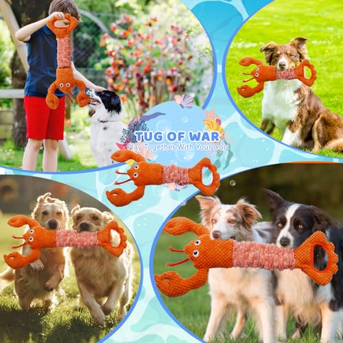 Tug of War Dog Toy Squeaky Dog Toys Interactive Lobster Puppy Toys (Orange Lobster)