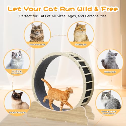 Cat Wheels 40" Diameter