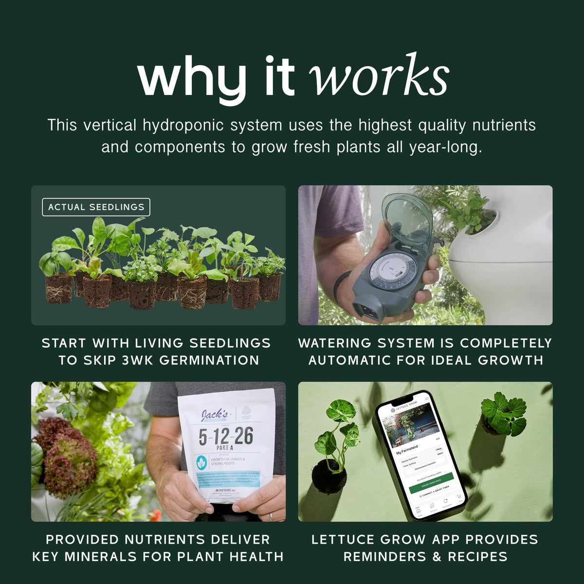 Farmstand Outdoor Starter Kit (18 Seedlings / Outdoor With Seedlings)