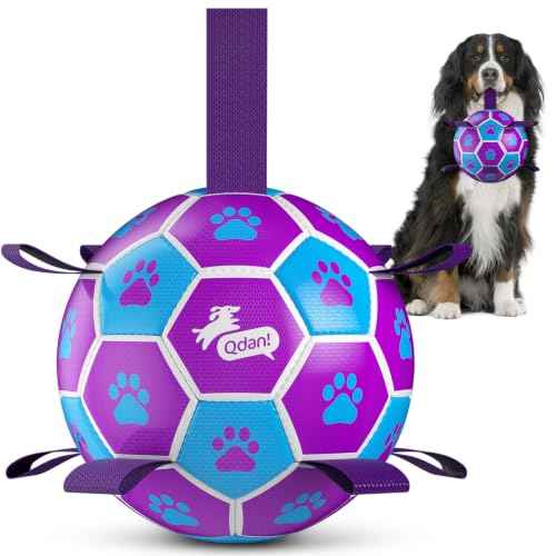 Big Dog Toys Large Herding Ball for Dogs Large (Purple-Blue / Extra Large Size 5 (9 Inch))