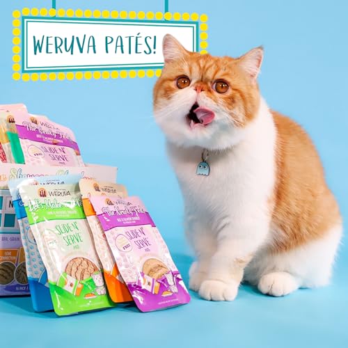 Wet Cat Food The Newly Feds with Beef and Salmon Pate (5.5 Ounce (Pack of 12))