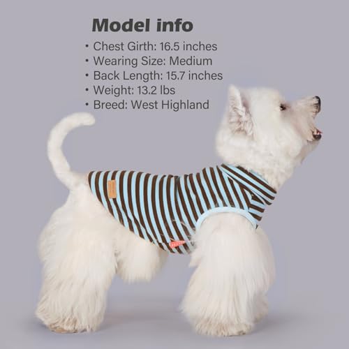 2Pack Dog Sweater for Small Dogs Soft Pet Coats Fleece Sweatshirt (Medium (7-11lbs) / 6# Stripe+blue)