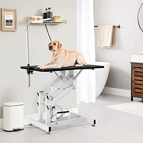 Hydraulic Dog Grooming Table (Single arm)