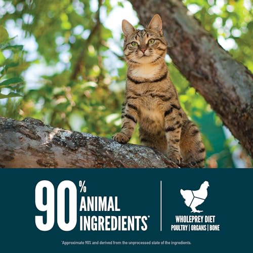 Guardian 8 Grain Free WHOLEPREY Dry Cat Food 4lb Bag (4 Pound (Pack of 1))