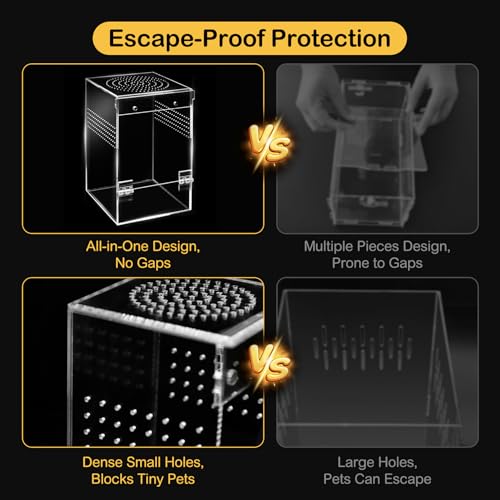 Jumping Spider Enclosure Starter Kit (Green / Large)