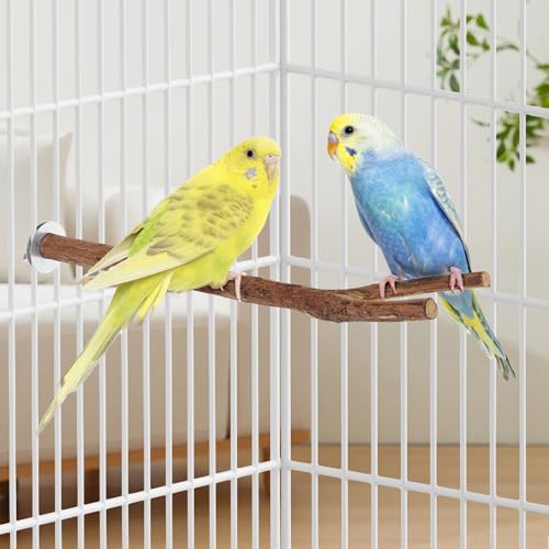 Natural Wooden Perches for Bird Cages (No-Bark / 2 Pack)