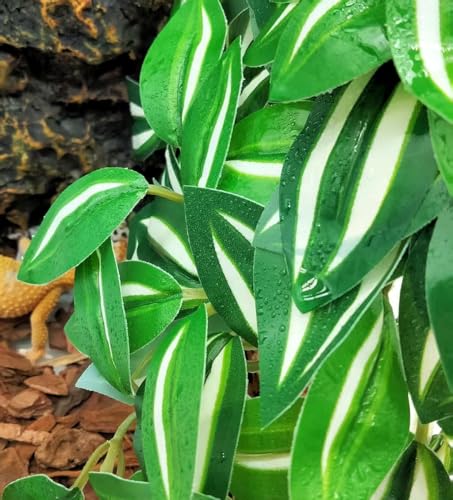 Fake Reptile Plants for Terrarium (Zebrina Green)