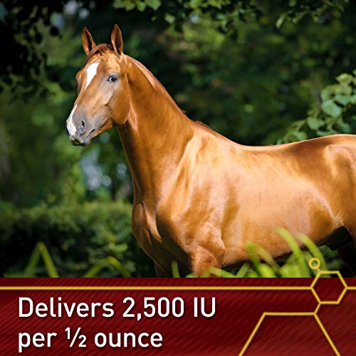 Pro E 5000 Premium Horse Vitamin E Powder