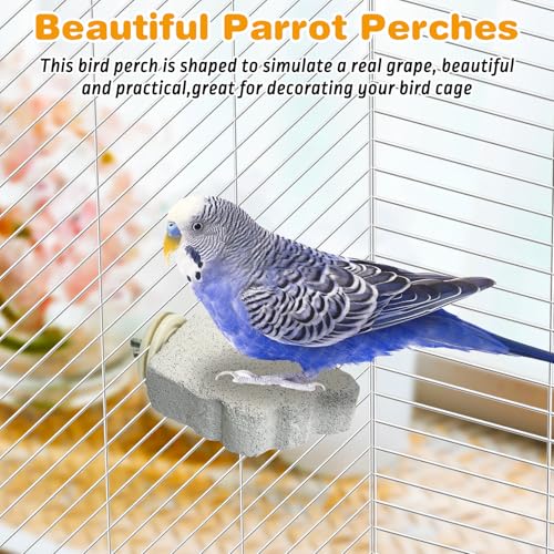6 PCS Bird Perch Parrot Beak Grinding Stone Calcium Mineral Parrot Perch Foot Claws Trimmer Chewing Toy Bird Cage Accessories for Small Medium Budgie Cockatiel Conure Lovebird