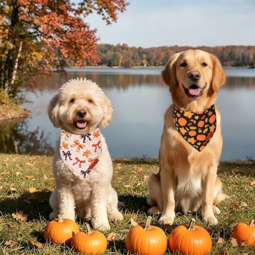 Fall Dog Bandanas (Large / Fall-2)