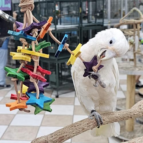 Wood Stars & Leather Toy for Bird Cage Stand or Playgym