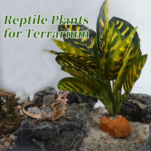 Reptile Plants Decoration