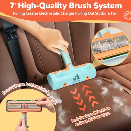 Pet Hair Remover Tool