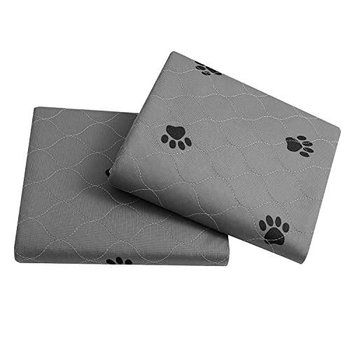 Washable Pee Pads for Dogs + Free Puppy Grooming Gloves (36x41 Inch (Pack of 2))