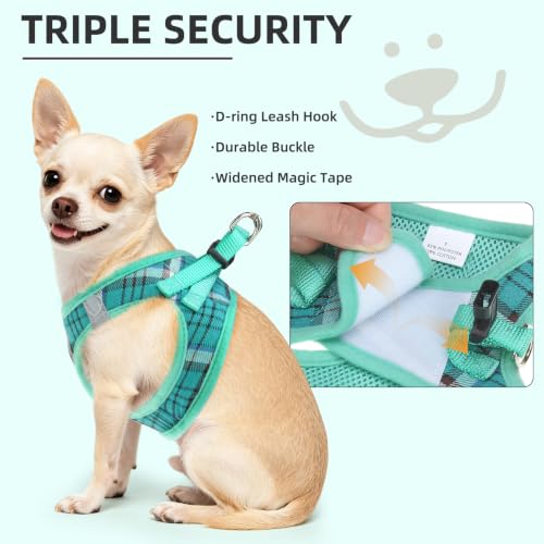 Dog Harness Collar and Leash Set No Pull for Small Medium Sized (Lake Green / L (CHEST 18"-20"))