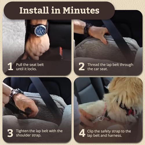 Dog Car Seat for Dogs up to 25lbs (Anthracite with Black / Medium)