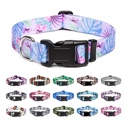 Adjustable Dog Collar (Medium / Floral Purple)
