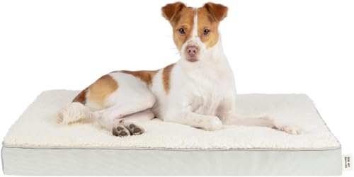 Orthopedic Dog Bed with Memory Foam (Beige / 30" x 20" x 3")