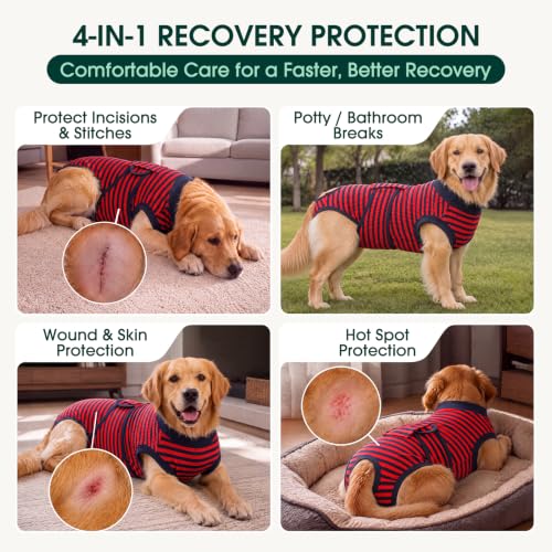 Recovery Suit for Dogs Cats (2x-large (Back:24.8-29.5'', Weight:70+ Lb) / Navy Red Stripe)
