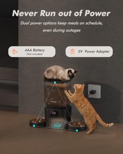 Automatic Cat Feeder for 2 Cats (Matte Black)