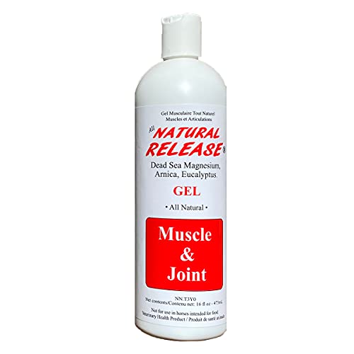 Natural Release Muscle Gel Treatment (16 Ounce (Pack of 1))