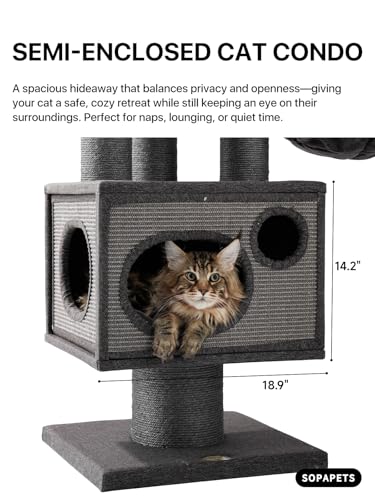 Maine Coon Cat Tree for Indoor Cats Large Adult (Black)