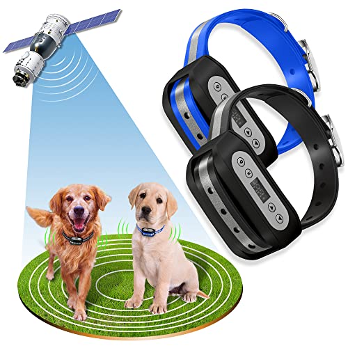 GPS Wireless Dog Fence System for 2 Dog (Black)