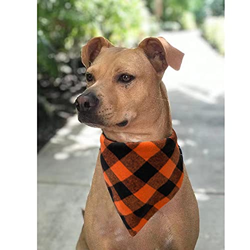Fall Dog Bandanas 2 Pack (Orange / Large)