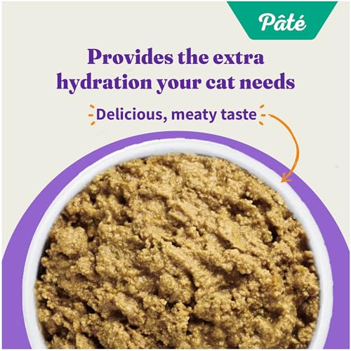 Pate Wet Cat Food