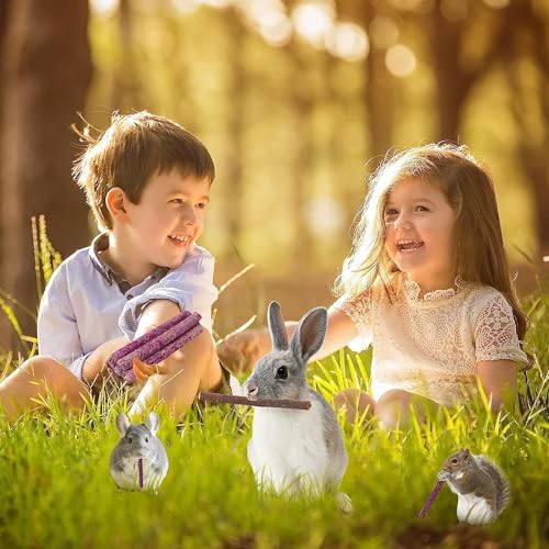 70PCS 10Flavors Bunny Chews Toys Sticks