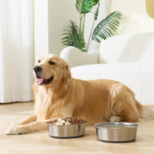 Dog Bowls Food Grade Stainless Steel for Food and Water (Gray / 7 Cup)