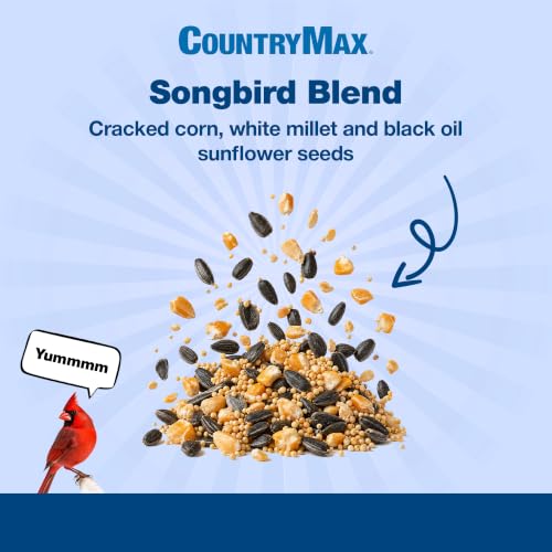 Backyard Seeds 7LB Songbird Blend Bird Seed (Songbird Blend / 7 Pound (Pack of 1))