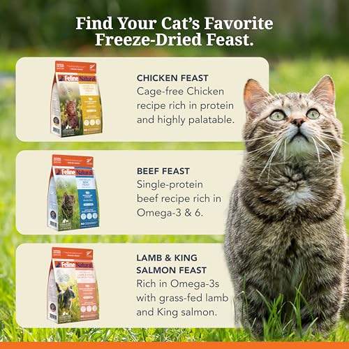 High Protein Freeze Dried Dry Cat Food with 98% Meat (11 Ounce (Pack of 1))