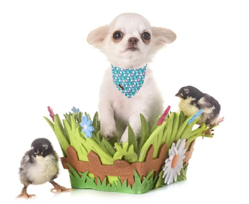 Easter Dog Bandana for Small Medium Dogs (Easter Eggs Cluster / Small (Pack of 1))