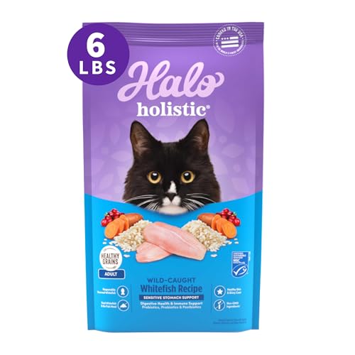 Holistic Dry Cat Food