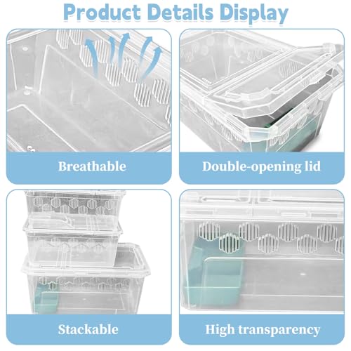 Reptile Feeding Box 6 PCS Snake Breeding Box Lizard Cricket Cage Habitat Hatching Container Transparent Portable Critter Keeper for Spider Scorpion Gecko Tortoise Treefrog