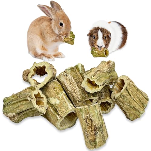 Rabbit Chew Toys