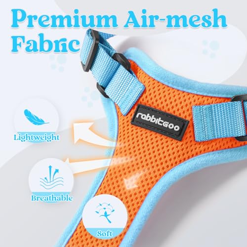 Cat Harness and Leash Set (Orange & Light Blue / S)