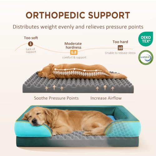 Orthopedic Dog Bed for Extra Large Dogs with Bolster (45.0"L x 35.0"W x 8.5"Th / Seattle)