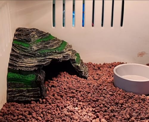 Reptile Hide Cave