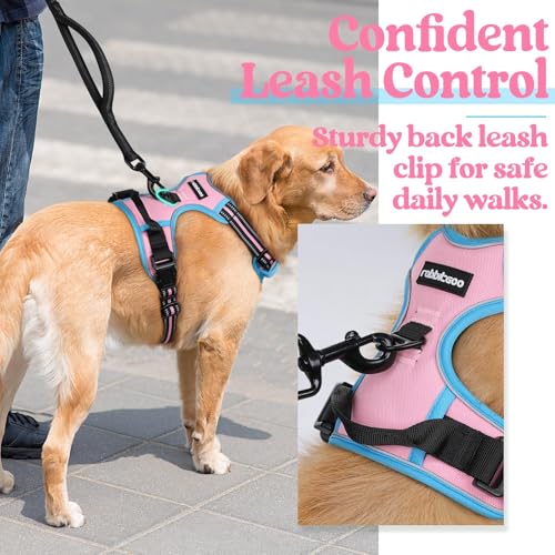 Dog Harness No Pull for Large Dogs with 2 Leash Clips (X-Large / Pink & Blue)