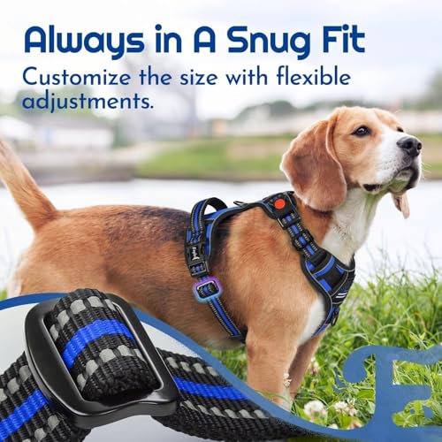 Dog Harness No Pull for Medium Dogs (Medium / Blue & Black)