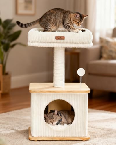 Small Cat Tree for Indoor Kittens (Ash Wood Finish / Small)