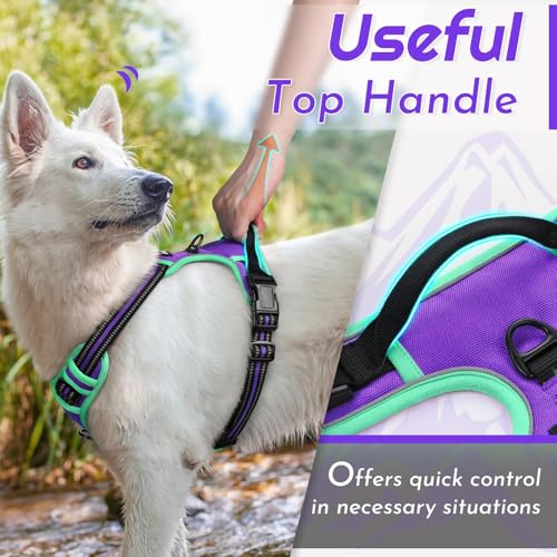 Dog Harness for Medium Sized Dogs (Medium / Purple & Turquoise)